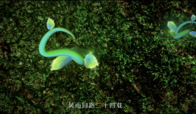 丹姿集团开场宣传片